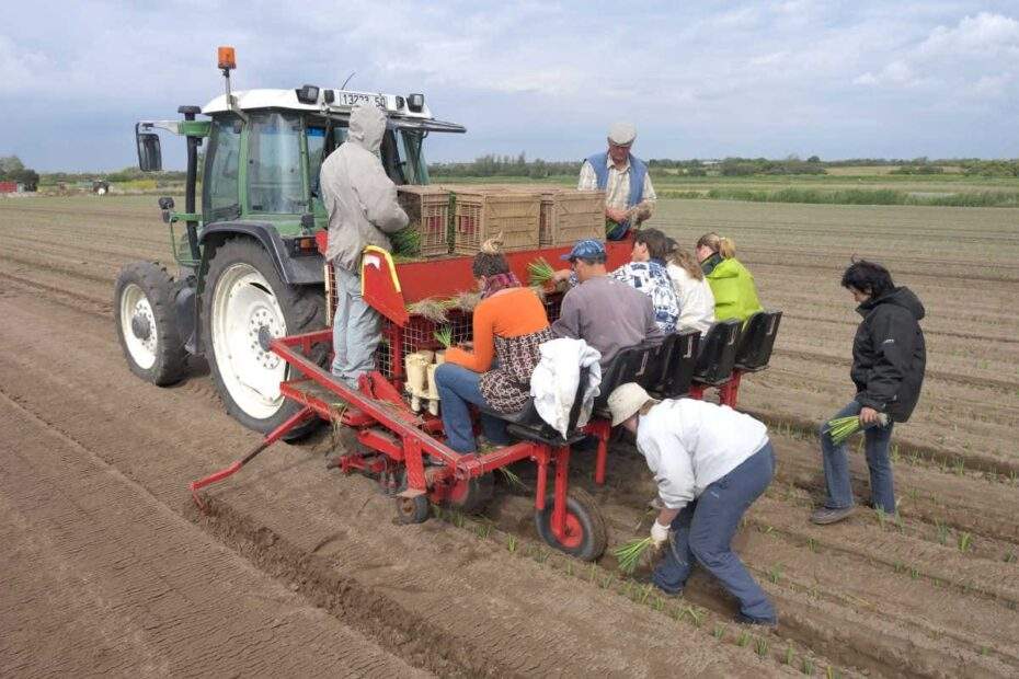 Arbeiter Landwirtschaft Acker Traktor