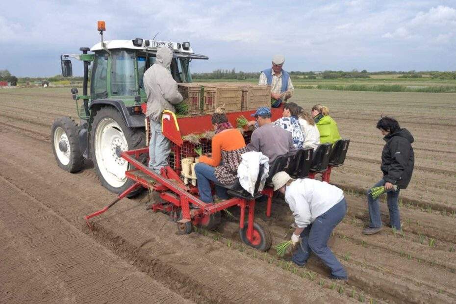 Arbeiter Landwirtschaft Acker Traktor