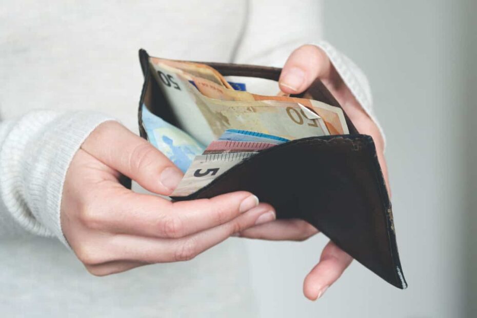Frau hält Portemonnaie mit Euro-Geldscheinen Lohn