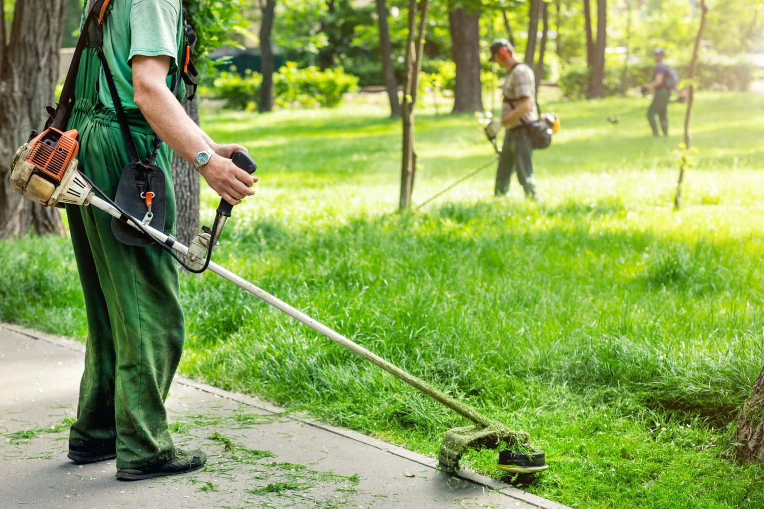Menschen arbeiten im Stadtpark, symbolisch für Arbeitspflicht im Bürgergeld