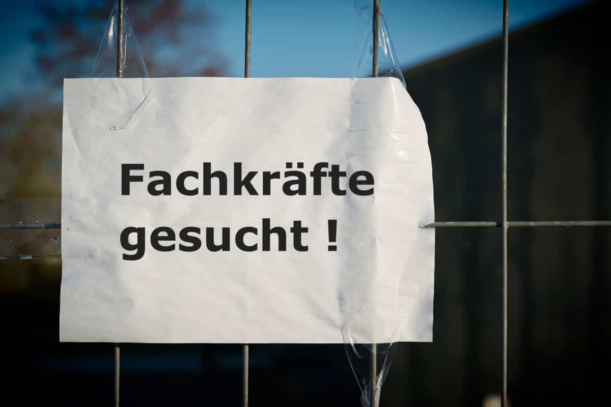 Sparpläne beim Bürgergeld belasten Arbeitsmarkt. -Fachkräfte gesucht