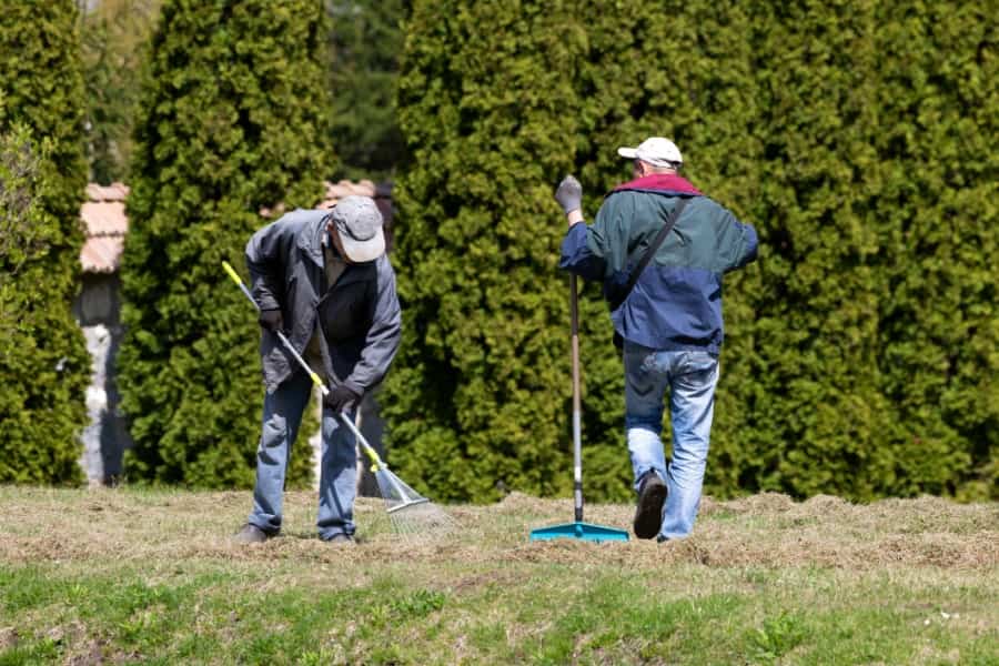 Bürgergeld Bedürftige reinigen Grünfläche im Park