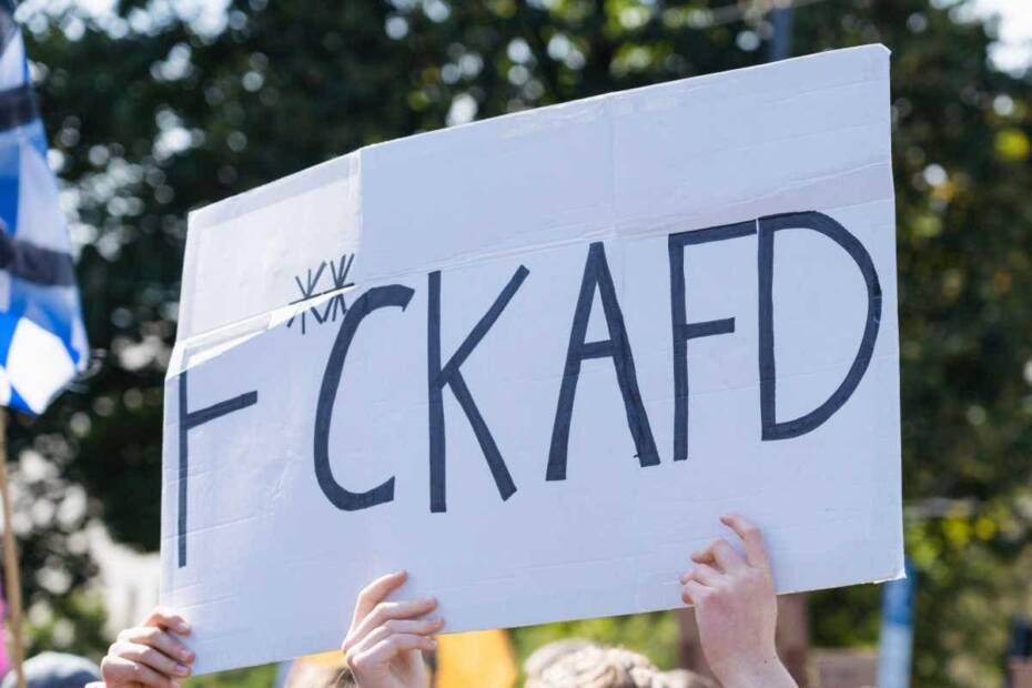 Demo Plakat F**CK AFD