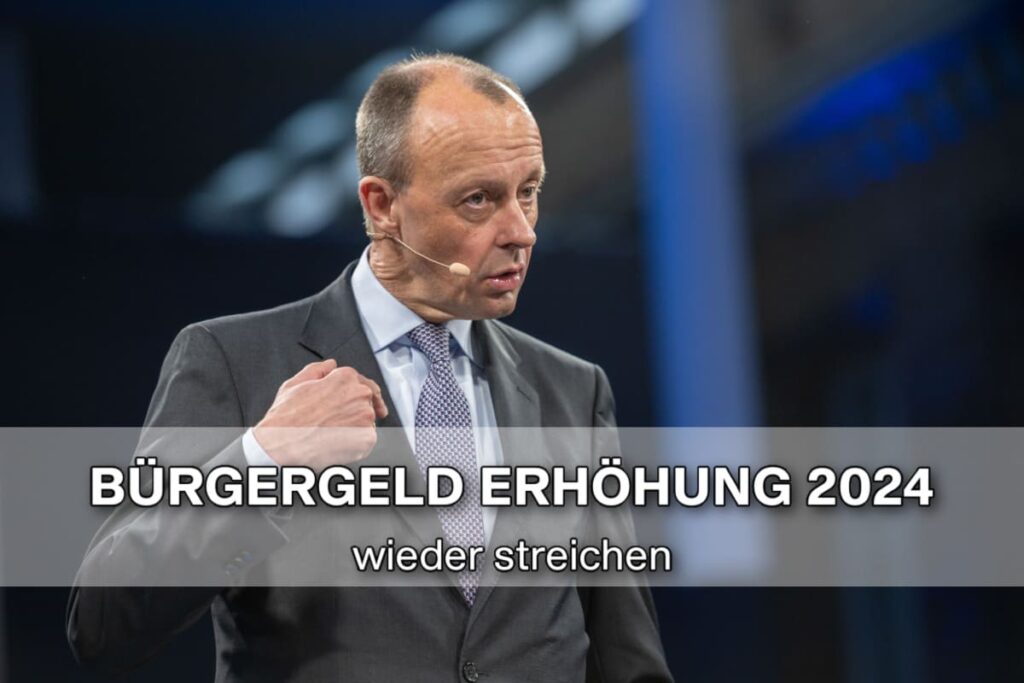 friedrich merz streichung buergergeld anpassung 2024