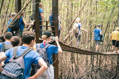 Schüler auf Klassenfahrt im Kletterpark - Bildungspaket