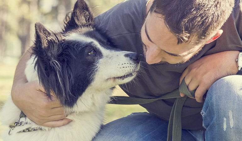 Hund - Hartz IV - Hundesteuer